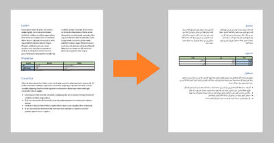 PDF-fordítás